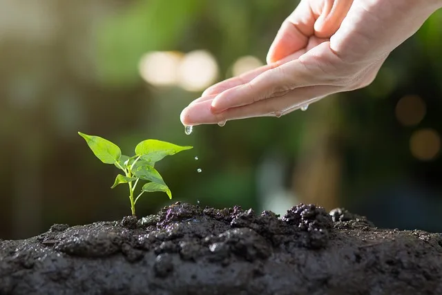 PRAYER OF THE GOOD SOIL